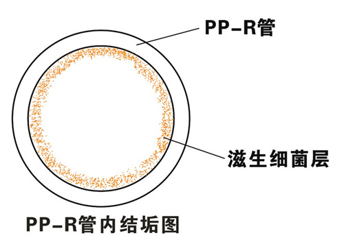 PP-R滲氧，易滋生細(xì)菌，有異味；腐蝕金屬連接件，降低使用壽命